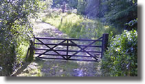 Pyworthy Gate